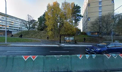 Vastra skogen